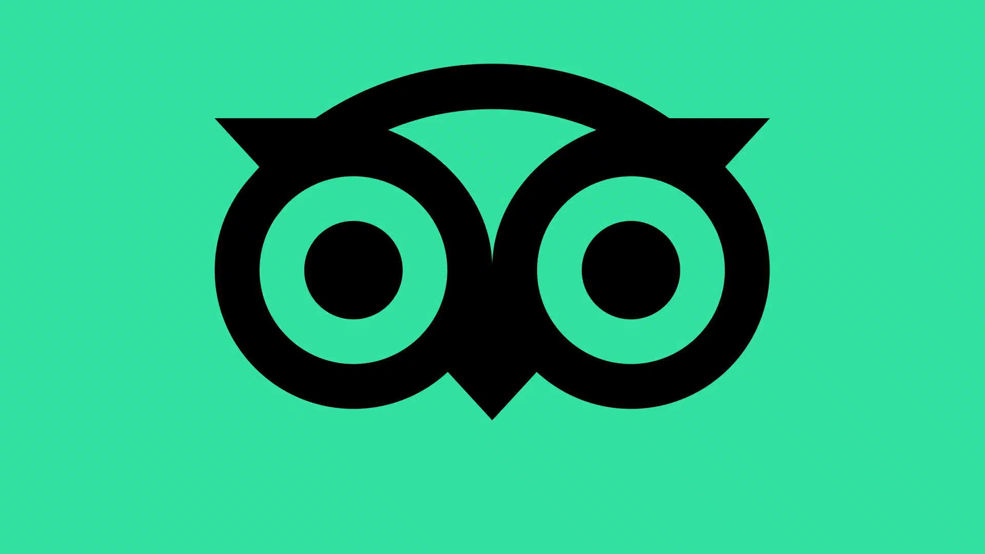 Logo TripAdvisor 