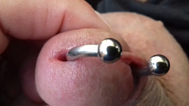 Prince Albert Piercing tout savoir